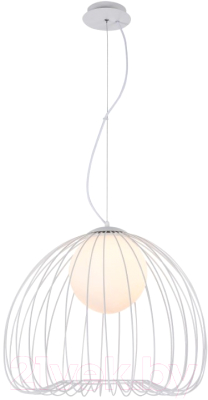 

Потолочный светильник Maytoni, Polly MOD541PL-01W