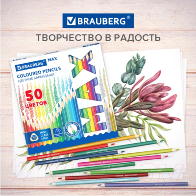 Набор цветных карандашей Brauberg Max / 181860 (50цв)