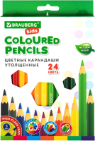 Набор цветных карандашей Brauberg Kids / 181879 (24цв) - 