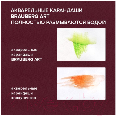 Набор цветных карандашей Brauberg Art Premiere / 181924 (48цв)