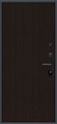 Входная дверь Nord Doors Амати 88x206 правая глухая (Slotex 3243)