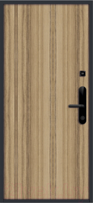 Входная дверь Nord Doors Амати А13 98x206 правая глухая (Slotex 3255/Bw)