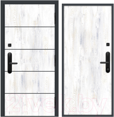 Входная дверь Nord Doors Амати А13 98x206 правая глухая (Slotex 3861/Rw)
