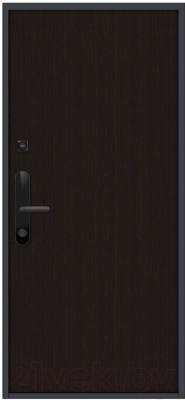 Входная дверь Nord Doors Амати А13 98x206 левая глухая (Slotex 3243)