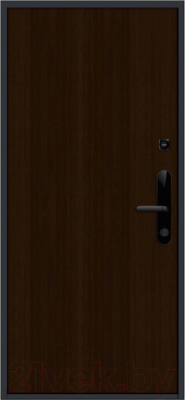 Входная дверь Nord Doors Амати А13 98x206 правая глухая (Slotex 3844/Mw)