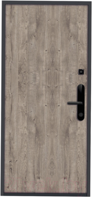 Входная дверь Nord Doors Амати А13 98x206 правая глухая (Slotex 3854/Bw)