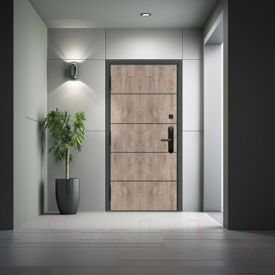 Входная дверь Nord Doors Амати А13 98x206 левая глухая (Slotex 3854/Bw)