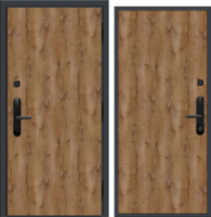 Входная дверь Nord Doors Амати А11 98x206 правая глухая (Slotex 2613/Р) - 