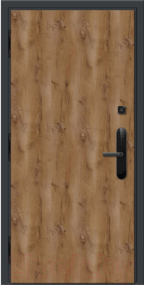 Входная дверь Nord Doors Амати А11 98x206 левая глухая (Slotex 2613/Р)