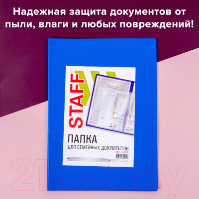 Папка для бумаг Staff Для семейных документов / 237806 (синий)