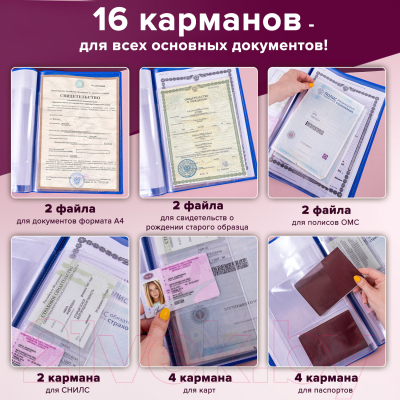 Папка для бумаг Staff Для семейных документов / 237806 (синий)