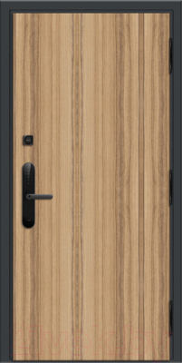 Входная дверь Nord Doors Амати А11 98x206 правая глухая (Slotex 3255/Bw)
