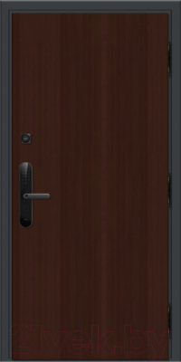 Входная дверь Nord Doors Амати А11 98x206 правая глухая (Slotex 3844/Mw)