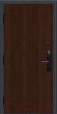 Входная дверь Nord Doors Амати А11 98x206 левая глухая (Slotex 3844/Mw)