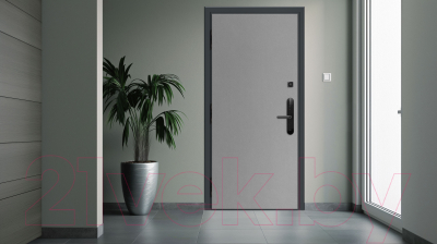 Входная дверь Nord Doors Амати А11 88x206 правая глухая (Slotex 1479/6)