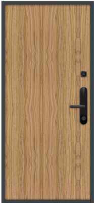 Входная дверь Nord Doors Амати А11 88x206 правая глухая (Slotex 3213/P)