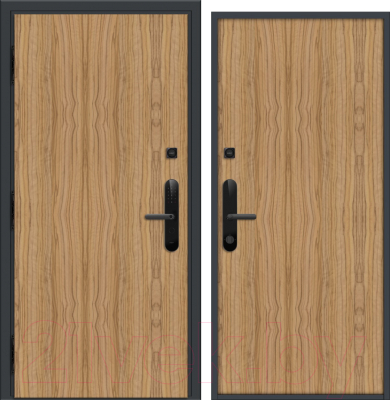 Входная дверь Nord Doors Амати А11 88x206 левая глухая (Slotex 3213/P)