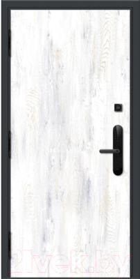 Входная дверь Nord Doors Амати А11 88x206 левая глухая (Slotex 3861/Rw)