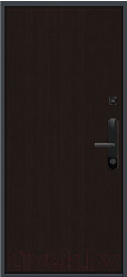 Входная дверь Nord Doors Амати А11 88x206 правая глухая (Slotex 3243)