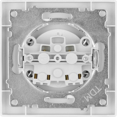 Розетка TDM Сенеж / SQ1816-0230 (серебристый металлик)