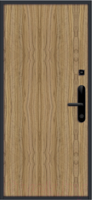 Входная дверь Nord Doors Амати А13 88x206 правая глухая (Slotex 3213/P)