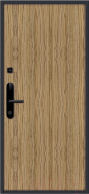 Входная дверь Nord Doors Амати А13 88x206 левая глухая (Slotex 3213/P)