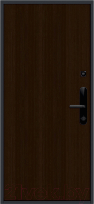 Входная дверь Nord Doors Амати А13 88x206 правая глухая (Slotex 3844/Mw)