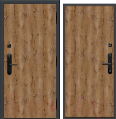 Входная дверь Nord Doors Амати А11 88x206 правая глухая (Slotex 2613/Р)