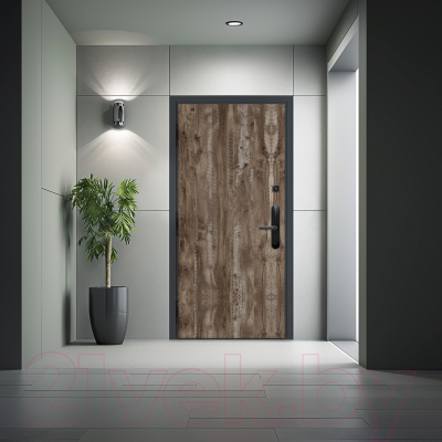 Входная дверь Nord Doors Амати А11 88x206 левая глухая (Slotex 3850/P)