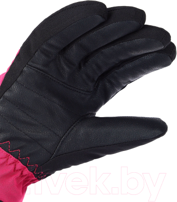 Перчатки лыжные VikinG Forter / 120/25/5999-0946 (р.4, черный/фуксия)