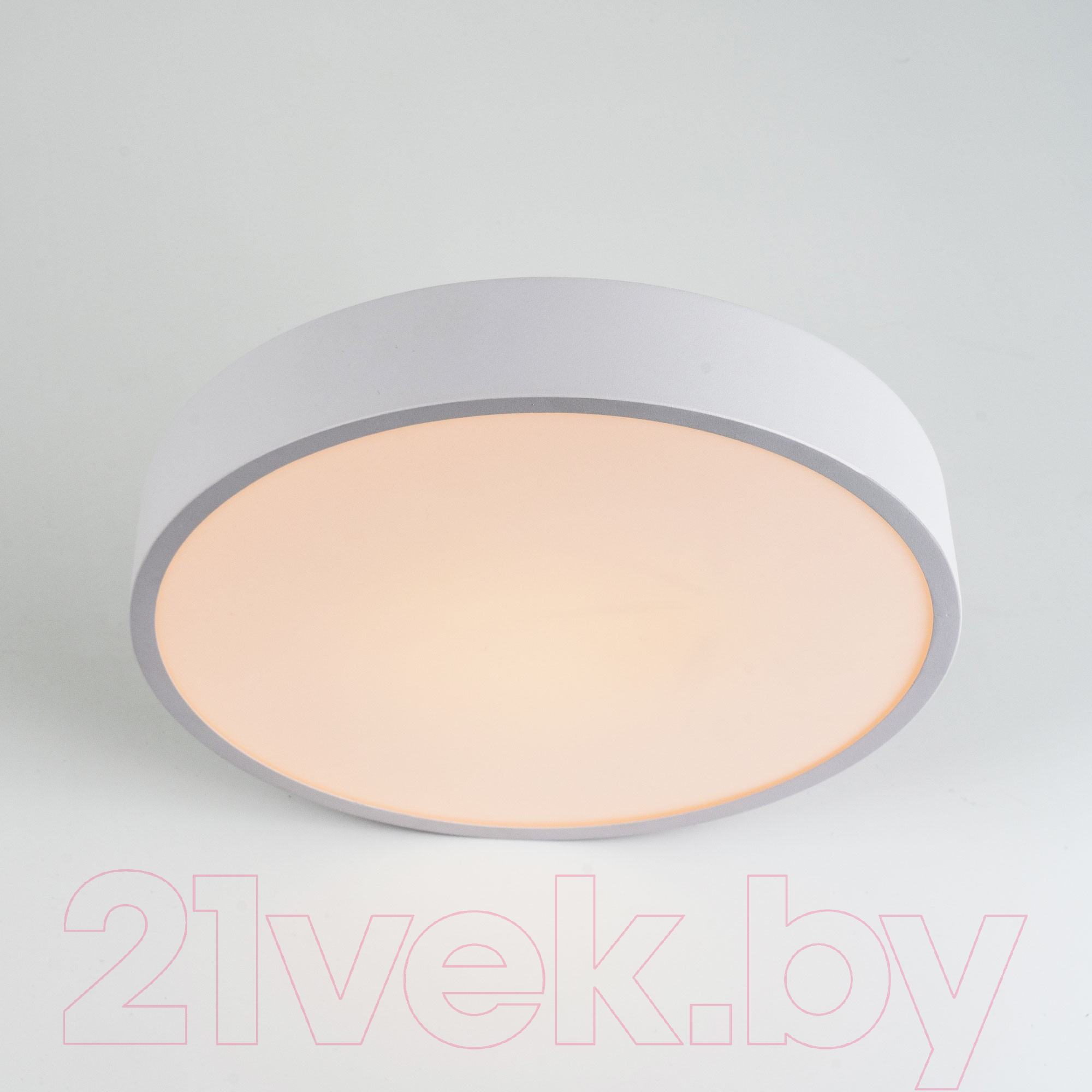 Потолочный светильник LED4U L2020-300 WH — фото 4