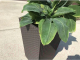 Миниатюра изображения товара Кашпо Keter Rattan Planter / 228977 (коричневый)
