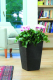 Миниатюра изображения товара Кашпо Keter Rattan Planter / 228977 (коричневый)