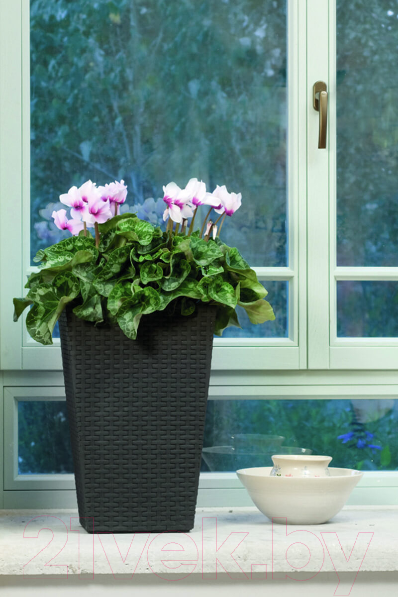 Кашпо Keter Rattan Planter / 228977