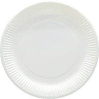 Набор одноразовых тарелок Raivbel ТБ-23 (100шт, белый) - 