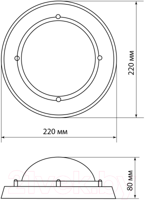 Светильник ЖКХ TDM SQ0303-0442