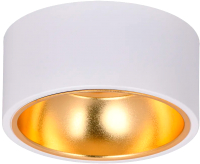Точечный светильник IEK LT-UPB0-4017-GX53-1-K55 - 