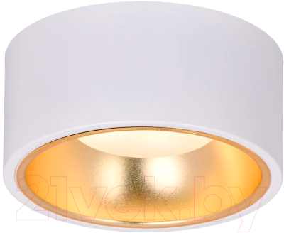 Точечный светильник IEK LT-UPB0-4017-GX53-1-K55