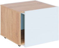 Журнальный столик Сокол-Мебель СЖ-11 (дуб сонома/белый) - 