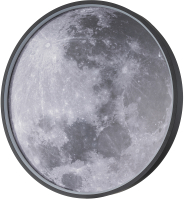 Потолочный светильник ESCADA Planet 10226/SG LED Moon - 