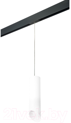 Трековый светильник Lightstar Rullo PRORP649686
