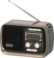 Радиоприемник Telefunken TF-1694UB (черный/серый) - 