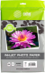 Фотобумага Cactus CS-GA413050ED - 