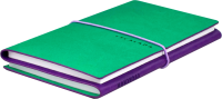 Записная книжка Escalada Виннер 2в1 / 64060 (128л, зеленый/фиолетовый) - 