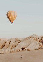 Картина Stamprint Шар в пустыне NR016 (85x60см) - 