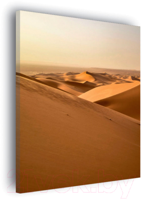 Картина Stamprint Пустыня NR018 (85x60см)