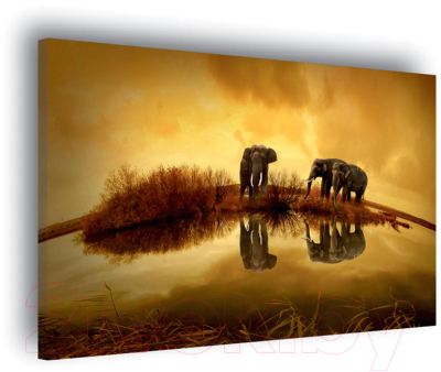 Картина Stamprint Солнечные слоны AM002 (60x85см)