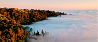 Картина Stamprint Горы в тумане NR005 (65x150см) - 