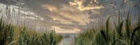 Картина Stamprint Озеро в закате SN013 (45x140см) - 