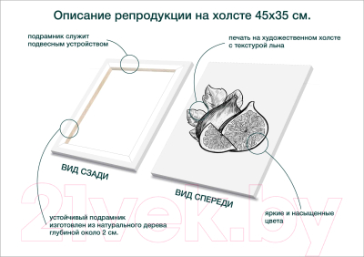 Картина Stamprint Фрукты 2 КС008 (45x35см)